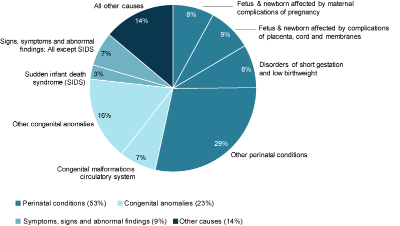 This pie chart shows the leading causes of infant death in 2017. The leading causes of infant death were perinatal conditions (53%25), followed by congenital anomalies (23%25) and symptoms, sign and abnormal findings (including sudden infant death syndrome) (9.3%25).