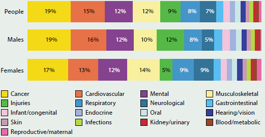 Graphic showing the burden of disease by sex and disease groups in 2011. The disease accounting for the greatest burden was cancer (19%25 male, 17%25 female and 19%25 total) followed by cardiovascular diseases (16%25 male, 13%25 female and 15%25 total).