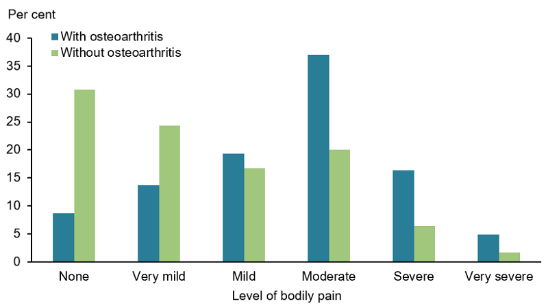 This vertical bar chart compares the bodily pain experienced by people aged 45 years and older, between those with and without osteoarthritis. Those with osteoarthritis had higher rates of ‘mild’ (19%25), ‘moderate’ (37%25), ‘severe’ (16%25) and ‘very severe’ (5%25) levels of pain compared with those without arthritis (17%25, 20%25, 6%25 and 1.7%25 respectively). Those with osteoarthritis had lower rates of ‘very mild’ (14%25) and ‘none’ (no pain) (9%25) compared with those without arthritis (24%25 and 31%25 respectively).