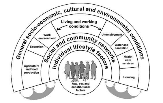 Model showing the relationship between health determinants