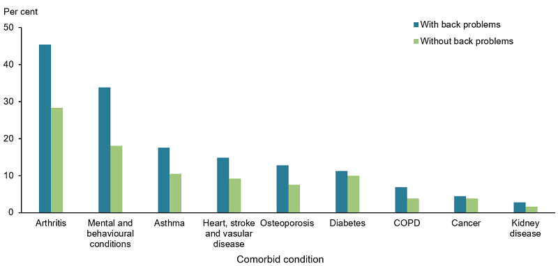Vertical bar chart showing the percentage of people with and without back problems who also experience other chronic conditions (arthritis, mental and behavioural conditions, asthma, heart, stroke and vascular disease, osteoporosis, diabetes, COPD, cancer, and kidney disease).