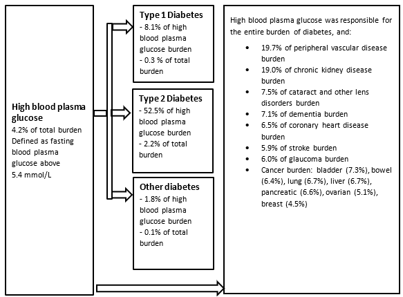 This diagram shows that 53% of high blood plasma glucose burden was attributed to Type 2 Diabetes. It also shows disease burden attributed to high blood plasma glucose for linked diseases, for example, chronic kidney disease, coronary heart disease and stroke.