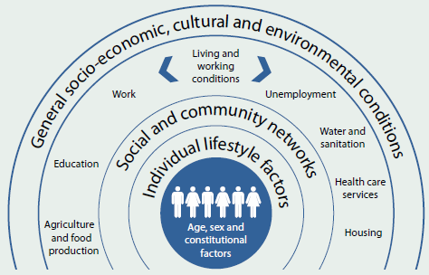 Figure laying out the framework for determinants of health. At the centre of the circular framework are age, sex and constitutional factors. Surrounding that is individual lifestyle factors. Surrounding that is social and community networks. Surrounding that is living and working conditions, which is surrounded by general socio-economic, cultural and environmental conditions.