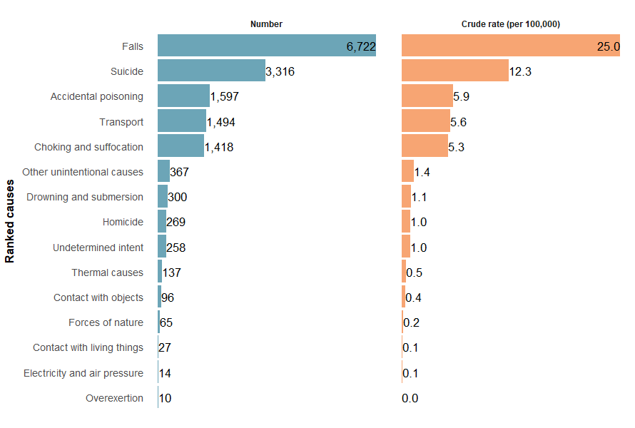 Ranked number and crude rate of injury deaths by cause. The top two causes for both numbers and rates were falls followed by suicide.
