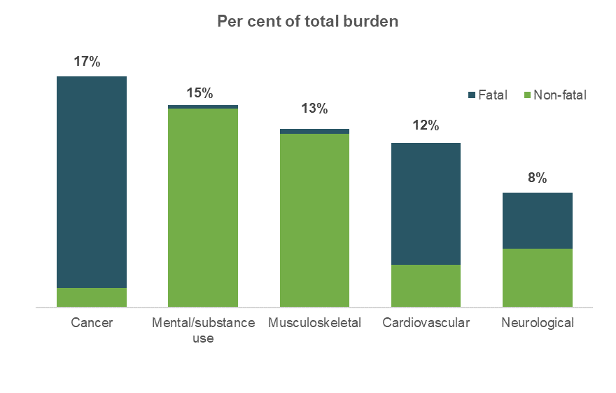 Chart shows that of the 5 disease groups, cancer had the largest contribution to both total disease burden and fatal burden but the smallest contribution to non-fatal burden.