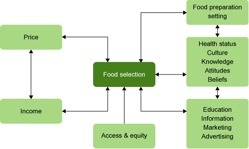 Major influences on food selection