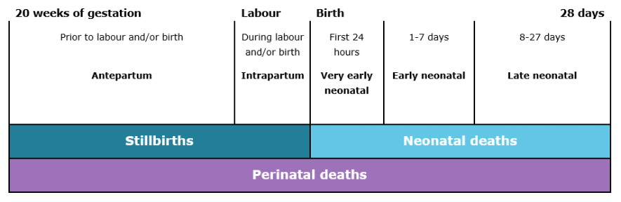 The figure shows a timeline from 20 weeks of gestation to 28 days of birth and defines perinatal deaths, stillbirths and neonatal deaths based upon when they occur within this time period. The period from 20 weeks of gestation to 28 days after birth is classified as a perinatal death. 20 weeks of gestation until labour and/or birth is classified as a stillbirth. From the first 24 hours to the 28 days after birth is defined as a neonatal death.