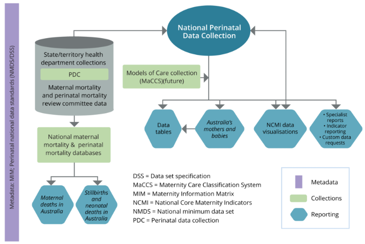 The figure maps the interactions of different data collections, reporting outputs and metadata in relation to the National Perinatal Data Collection.