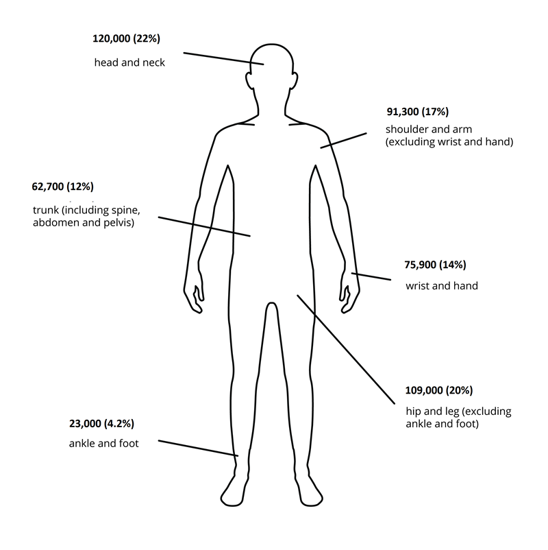 Outline of a person with labels for body parts accounting for hospitalisation due to all injuries. Injuries to the head and neck accounted for the most hospitalisations while the ankle and foot accounted for the fewest hospitalisations.]