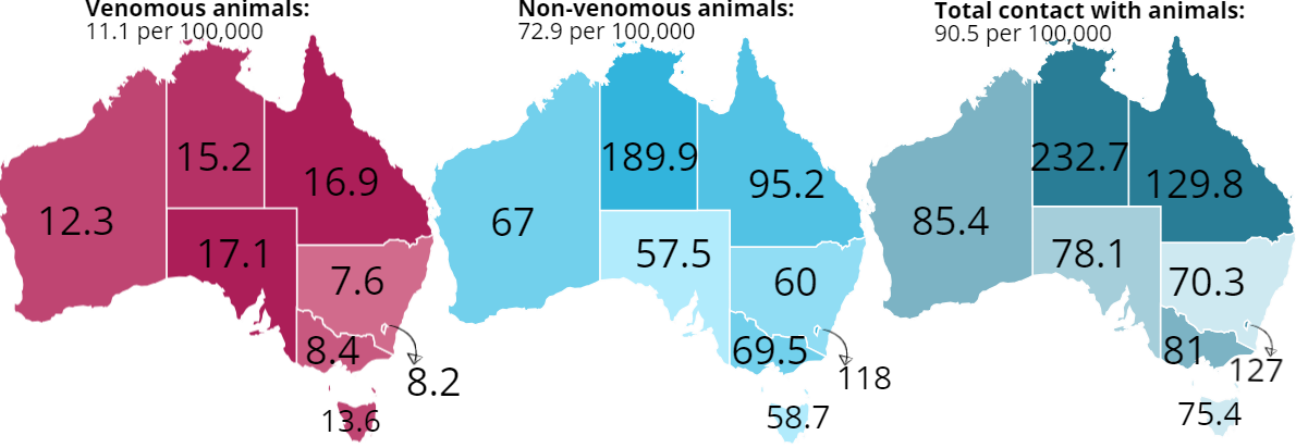 3 maps by state for venomous (highest rate SA, 17.1), non-venomous (highest rate NT 189.9) and total contact with animals (highest rate NT 232.7).