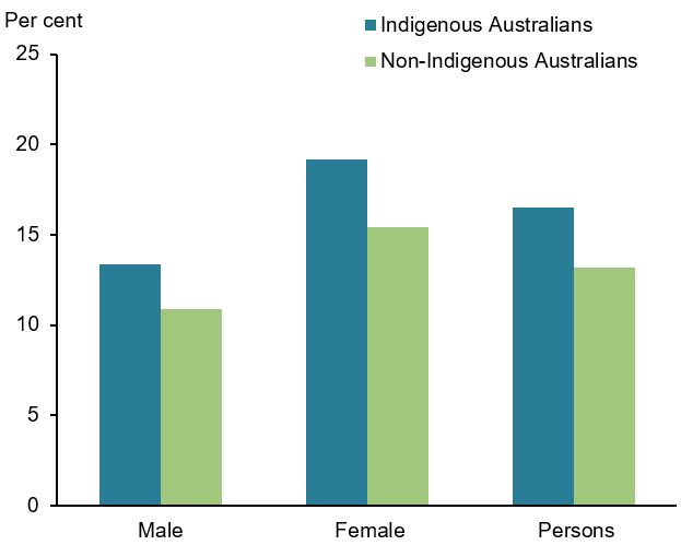 This vertical bar chart compares the age-adjusted percentage of self-reported arthritis among Indigenous and non-Indigenous Australians by sex. Among the Aboriginal and Torres Strait Islander population, 19.2%25 of females and 13.4%25 of males are affected (and overall 16.5%25 of the total Indigenous population), while in non-Indigenous Australians 10.9%25 of males, 15.4%25 of females and 13.2%25 of the total population are affected.