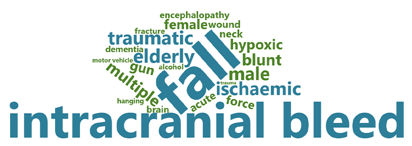 A word cloud showing the most frequent 24 terms used in the cause of death NCIS fields, with the top 5 terms highlighted in blue. The most common term was ‘fall’ with 419 appearances.