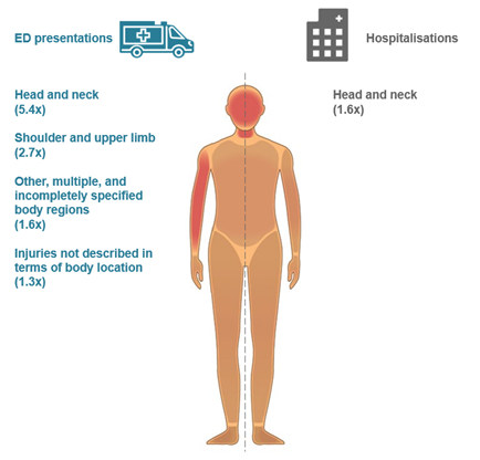 An infographic showing a human body, with injury regions highlighted where children aged 1-4 are more likely than adults to be hospitalised.