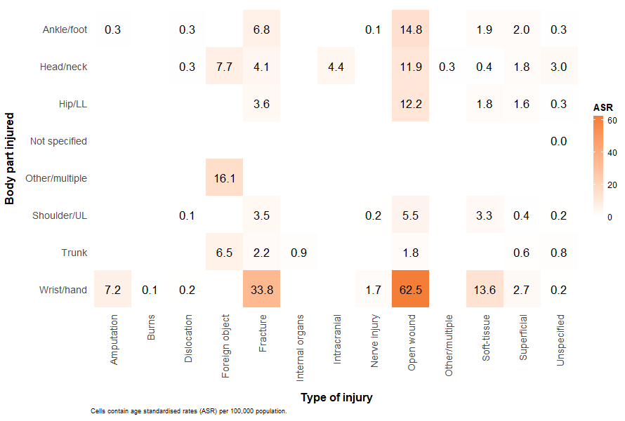 A heatmap of body parts and type of injuries age-standardised rates. Open wounds and fractures were the main type of injury across most body parts.