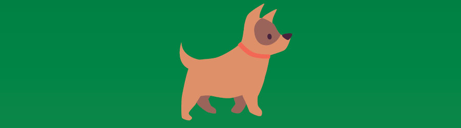 A dog on a green background