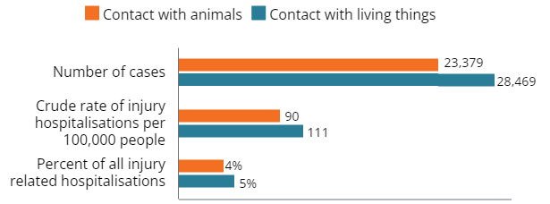 Bar graph indicating that in 2021-22 Australian injury hospitalisations due to contact with animals totalled 23,379, 90 per 100,000 people or 4% of all injury hospitalisations. By contrast, contact with living things totalled 28,469, 111 per 100,000 people or 5% of all injury hospitalisations.