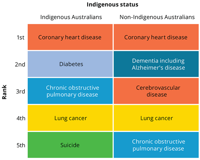 Coronary heart disease and lung cancer have the same rank (leading and 4th leading causes of death) for both Indigenous and non-Indigenous Australians.