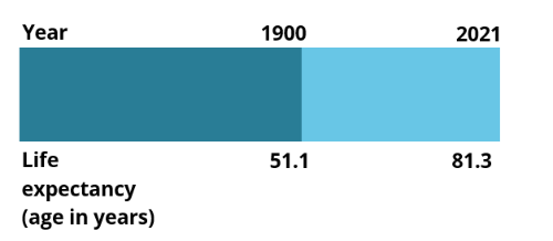This chart shows life expectancy for males in the year 1900 and 2021. It shows that life expectancy increased from 51.1 years in 1900 to 81.3 in 2021.