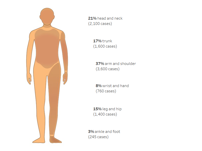 Outline of a person with body regions labelled, marked with the percentage of hospitalised injuries for each region.
