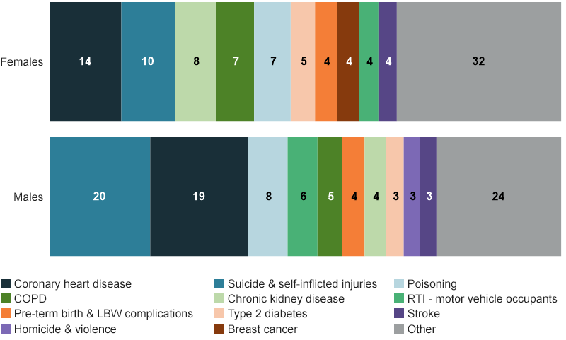 Two horizontal bar charts showing the proportion of avoidable fatal burden contributed by the top 10 causes to First Nations females and males.