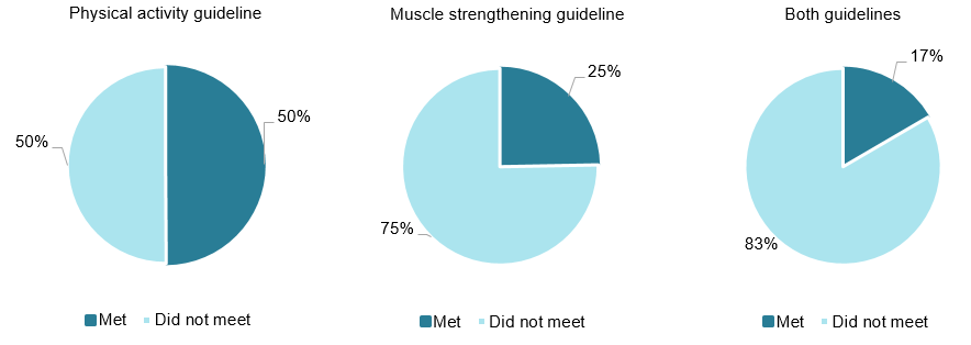 These 3 pie charts show that 50%25 of men met guidelines for physical activity, 25%25 met the guidelines for strength and toning (75%25 did not), and 17%25 met the guidelines for both physical activity and strength and toning (83%25 did not).