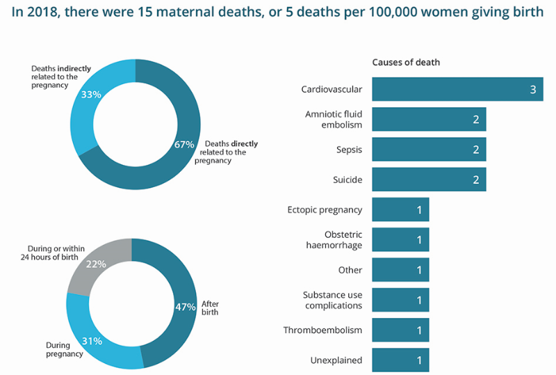 The infographic includes a pie chart with the proportion of deaths directly related to the pregnancy (67%25) and the proportion of deaths indirectly related to the pregnancy (33%25). A second pie chart shows the proportion of deaths that occurred during the pregnancy (31%25), the proportion of deaths that occurred during or within 24 hours of birth (22%25) and the proportion of deaths that occurred after birth (47%25). A horizontal bar chart shows cardiovascular disease as the most common cause of maternal death (3 deaths) and amniotic fluid embolism, sepsis and suicide as the next most common causes of maternal death (2 deaths each).
