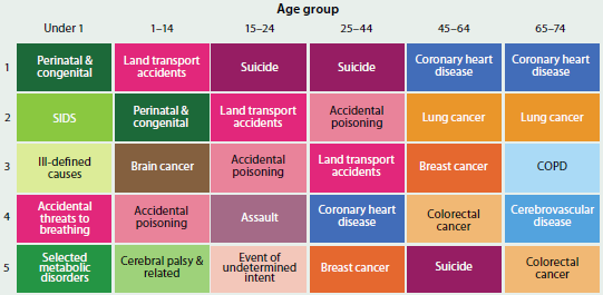 Figure showing the top five leading causes of premature death by age in 2011-2013. They are: perinatal and congenital (under 1), land transport accidents (1-14), suicide (15-44) and coronary heart disease (45-74).