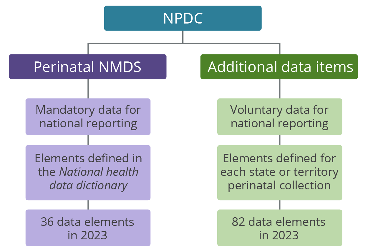 The figure shows the structure of the National Perinatal Data Collection. In 2023, there were 36 mandatory data elements in the Perinatal National Minimum Data Set and 82 additional voluntary data elements.