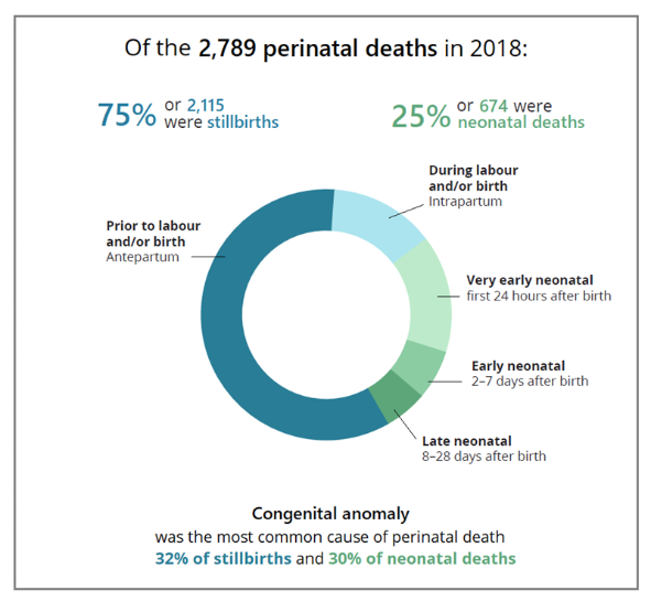 This infographic shows that of the 2,789 perinatal deaths in 2018, 75% or 2,115 were stillbirths while 25% of 674 were neonatal deaths. It uses a segmented donut graph to show the different timing of death. The majority of perinatal deaths were stillbirths occurring prior to labour and/or birth, known as antepartum stillbirths. This was followed by stillbirths occurring during labour and/or birth, or intrapartum stillbirths, and very early neonatal deaths, occurring in the first 24 hours after births. These two categories are often considered together, as in many cases, the process leading to the death is a continuum that may lead to death before or after the birth occurs. A much smaller proportion of deaths, less than a quarter, were early and late neonatal deaths. Finally, the infographic text reads that congenital anomaly was the most common cause of perinatal death, accounting for 32% of stillbirths and 30% of neonatal deaths.
