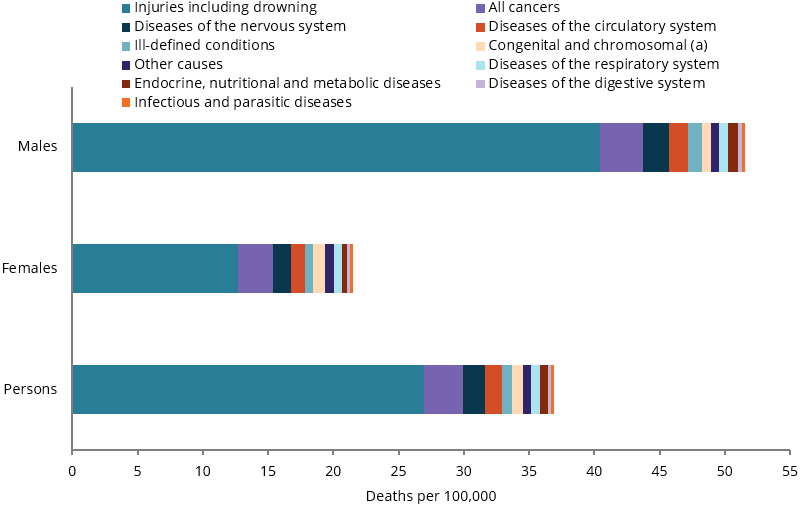 The stacked bar chart shows that the three leading causes of death were the same for males and females: injuries including drowning, all cancers and diseases of the nervous system.
