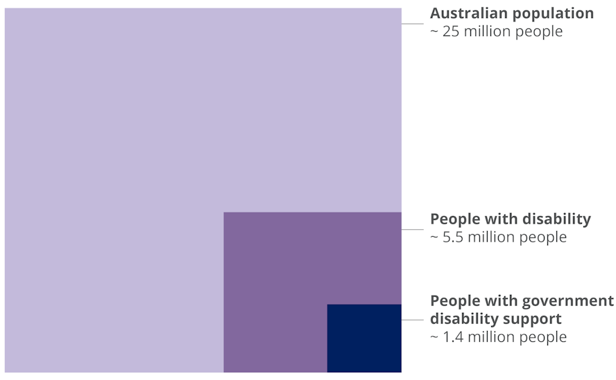 Square for people with no government disability supports (people without disability & people with disability but no supports). Small square for people with disability supports (disability flag group).