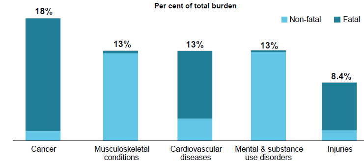 This figure is a stacked column chart which presents the proportion of total burden (DALY) contributed by each of the five leading disease groups in 2018. Each column represents a disease group and is shaded to show the proportion of non-fatal (YLD) and fatal (YLL) burden that make up the total burden for the disease group.