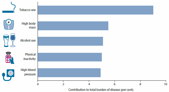 Bar chart showing the proportion of total burden that can be attributed to the top 5 risk factors. They are: tobacco use (around 9%25), high body mass (around 6%25), alcohol use (around 5%25), physical inactivity (around 5%25), and high blood pressure (around 5%25).