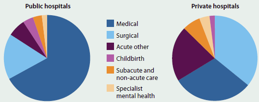 Two pie charts showing the proportion of hospitalisations that constituted different kinds of care in public and private hospitals. In public hospitals the main type of care was medical, while in private hospitals it was surgical.