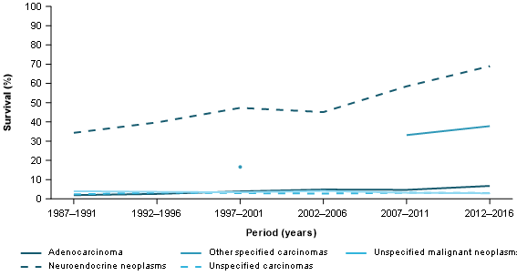 Figure 10 shows the 5-year relative survival rates for pancreatic cancer by histology type. Neuroendocrine neoplasms have the highest survival and increase from 34%25 in 1987–1991 to 69%25 in 2012–2016. Other specified carcinoma survival is often suppressed but had increased from 33%25 to 38%25 between 2007–2011 to 2012–2016. Adenocarcinoma was the next highest in the most recent period and had increased from 1.9%25 to 6.7%25 between 1987–1991 to 2012–2016.