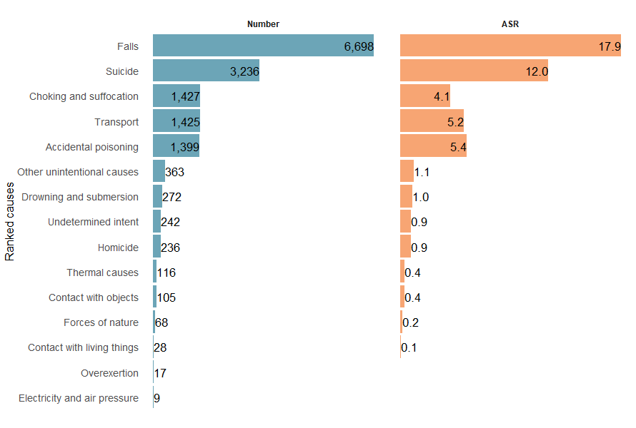 Ranked number and ASR of injury deaths by cause. The top two causes for both numbers and ASR were falls followed by suicide.