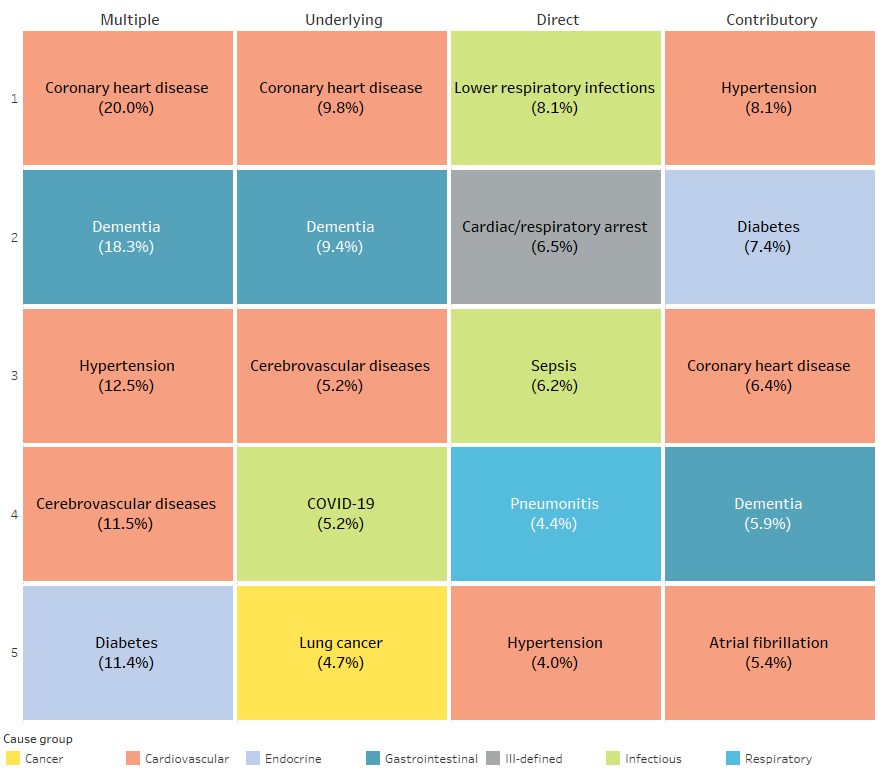 The leading causes of death are different depending on how they are assessed. The most commonly recorded (multiple) causes were coronary heart disease, followed by dementia, hypertension, cerebrovascular diseases and diabetes. Coronary heart disease and dementia were also the two most common underlying causes, followed by cerebrovascular diseases, COVID-19 and lung cancer. Looking at the direct causes, the most common were lower respiratory infections, cardiac or respiratory arrest, sepsis, pneumonitis, and hypertension. Hypertension was the most common contributory cause followed by diabetes, coronary heart disease, dementia and atrial fibrillation.