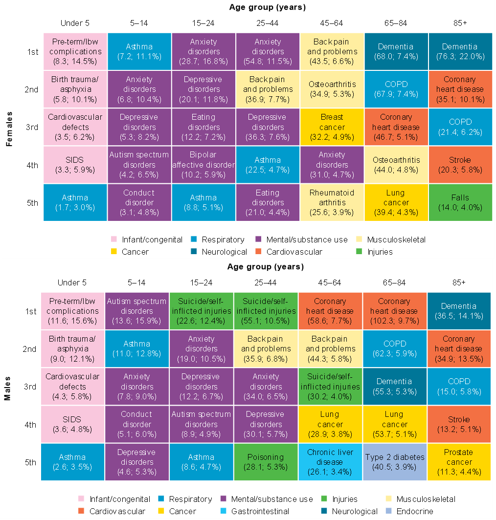 Two coloured grids show the leading 5 causes of total burden for different age groups in 2023 for males and females.