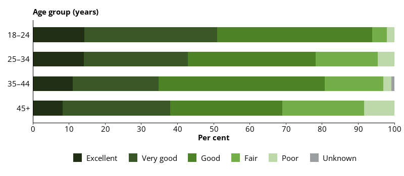 This horizontal bar chart shows the self-assessed physical health status ratings in prison dischargees by age group.