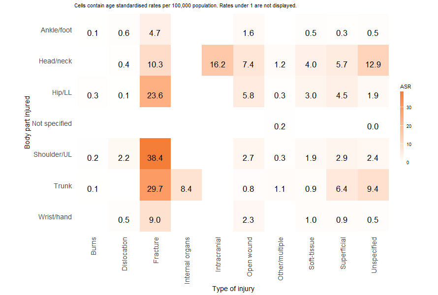 : A heatmap of body parts and type of injuries age-standardised rates. Fractures were the main type of injury across most body parts.