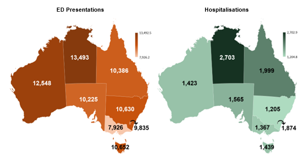 The age-standardised rates of injury by state and territory. NT has the highest rates for both ED and hospitals data.