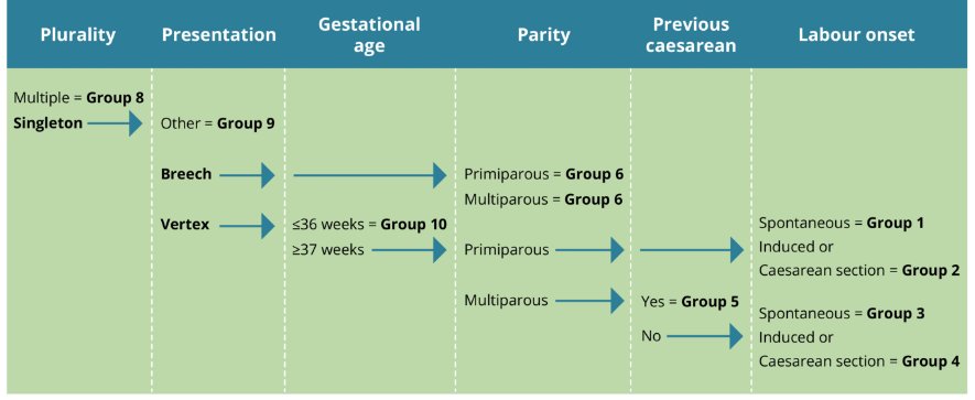 The figure shows a process flow of classification using the Robson 10 group classification system over the indicators of plurality, presentation, gestational age, parity, previous caesarean section and labour onset.