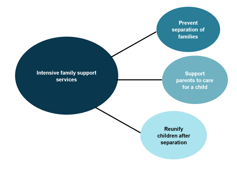 This relationship map outlines the different purposes of intensive family support services. They include: prevention of family separation, providing support to parents to care for their child, and supporting reunification of a child after separation.