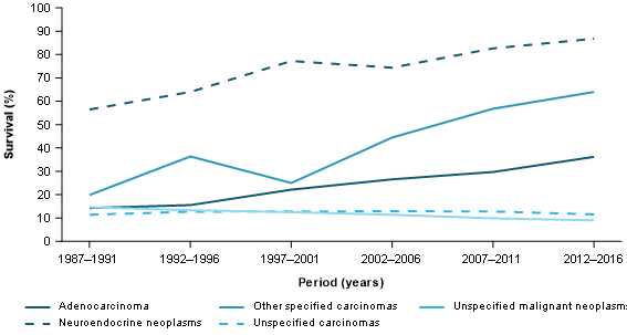 Figure 11 shows the 1-year relative survival rates for pancreatic cancer by histology type. Neuroendocrine neoplasms have the highest survival rates and they increase from 57%25 in 1987–1991 to 87%25 in 2012–2016. Other specified carcinoma survival rates increased from 20%25 to 64%25 over the same period. Adenocarcinoma was the next highest in the most recent period and had increased from 14%25 to 36%25 between 1987–1991 to 2012–2016.