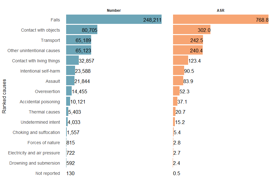 The top three causes of injury, ranked from highest to lowest were falls, contact with objects and transport.
