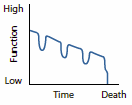 Line chart showing an intermittent but steady decline in function over time.