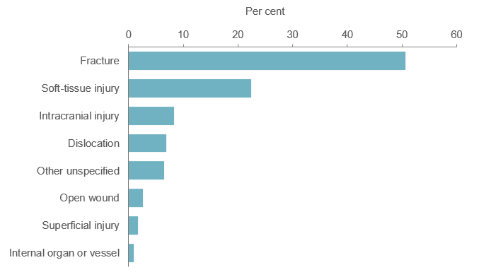 Bar graph showing the proportion of injury hospitalisations by main type of injury.