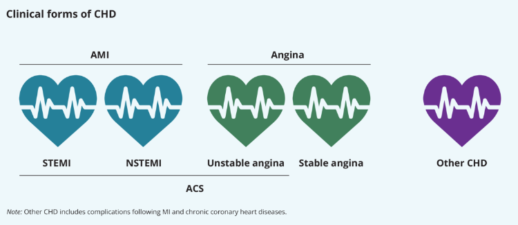 The figure illustrates the main clinical forms of coronary heart disease.