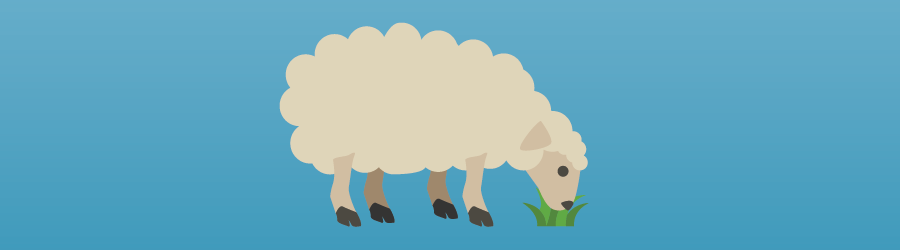 a clipart sheep eating grass