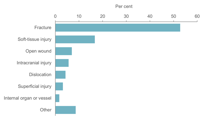 Bar graph showing the proportion of injury hospitalisations by main type of injury.